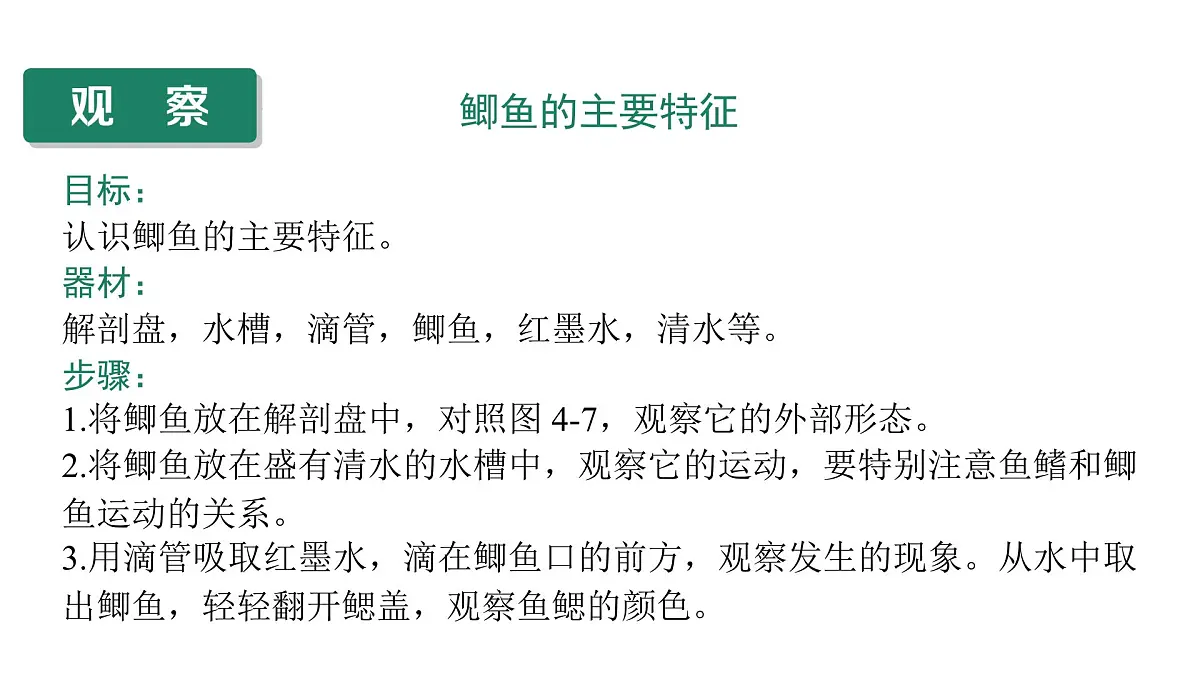 苏教版（2024）生物七年级上册 2.4.2 脊椎动物 （课件）第6页