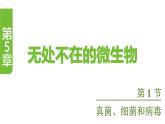 蘇教版（2024）生物七年級(jí)上冊(cè) 2.5.1  真菌、細(xì)菌和病毒 （課件）