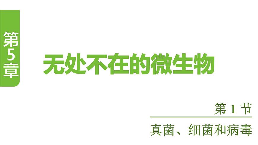 苏教版（2024）生物七年级上册 2.5.1  真菌、细菌和病毒 （课件）第1页