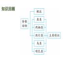 蘇教版（2024）生物七年級(jí)上冊(cè) 2.5.1  真菌、細(xì)菌和病毒 （課件）