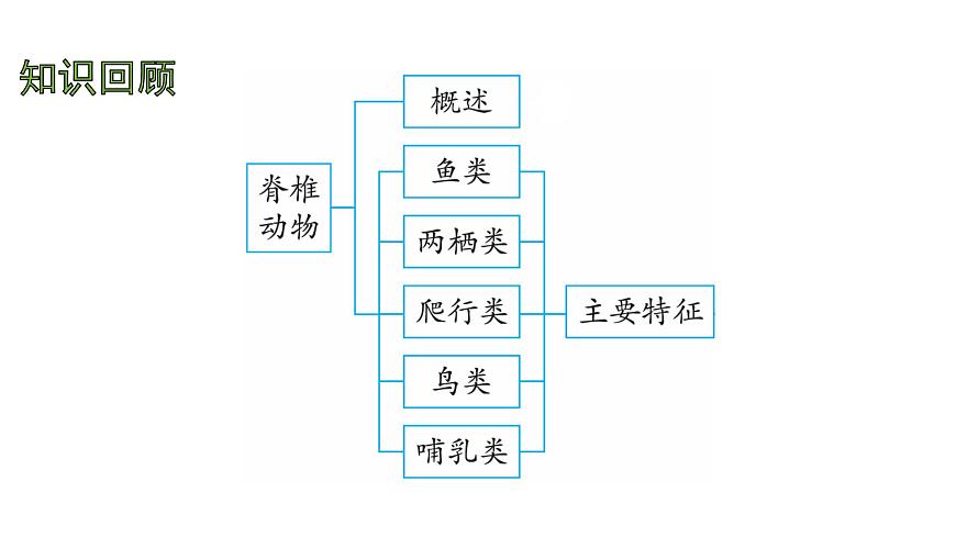 苏教版（2024）生物七年级上册 2.5.1  真菌、细菌和病毒 （课件）第2页