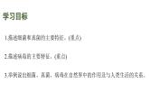 蘇教版（2024）生物七年級(jí)上冊(cè) 2.5.1  真菌、細(xì)菌和病毒 （課件）