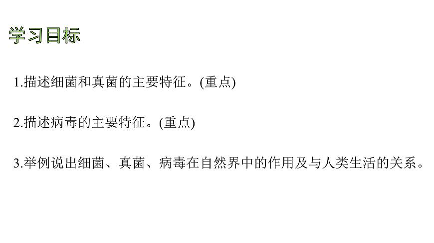 苏教版（2024）生物七年级上册 2.5.1  真菌、细菌和病毒 （课件）第4页