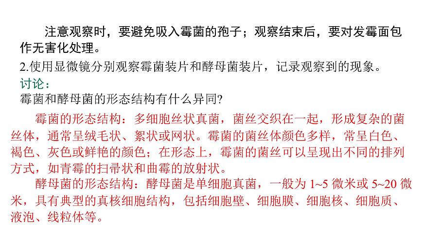 苏教版（2024）生物七年级上册 2.5.1  真菌、细菌和病毒 （课件）第7页