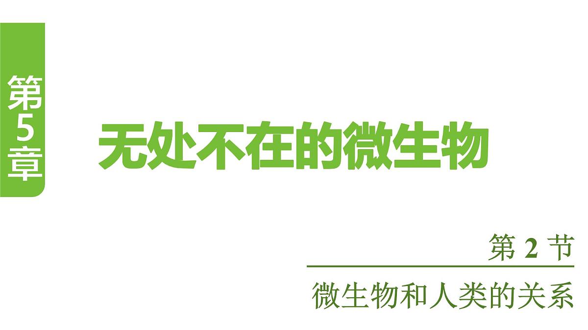 苏教版（2024）生物七年级上册 2.5.2 微生物和人类的关系 （课件）第1页
