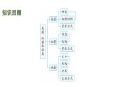 蘇教版（2024）生物七年級上冊 2.5.2 微生物和人類的關(guān)系 （課件）