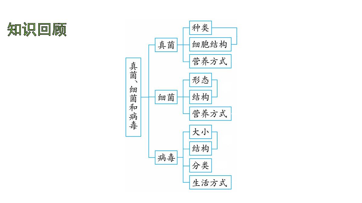 苏教版（2024）生物七年级上册 2.5.2 微生物和人类的关系 （课件）第2页