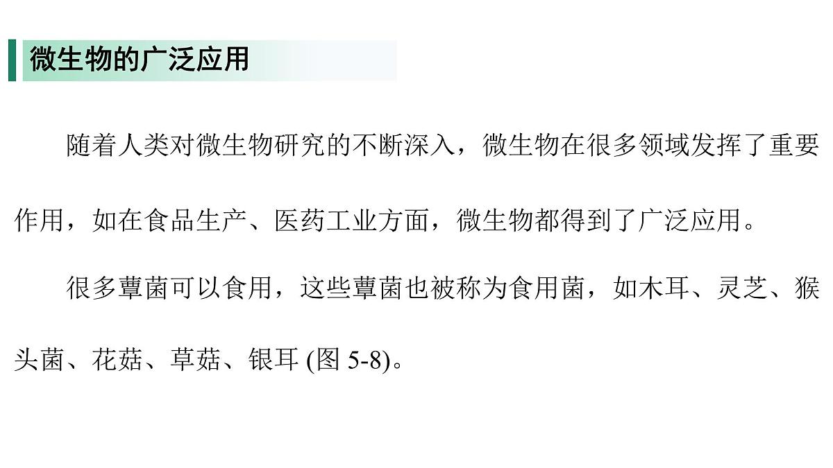 苏教版（2024）生物七年级上册 2.5.2 微生物和人类的关系 （课件）第5页
