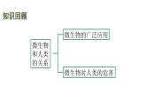 蘇教版（2024）生物七年級(jí)上冊(cè) 2.6.1 生物的分類 （課件）