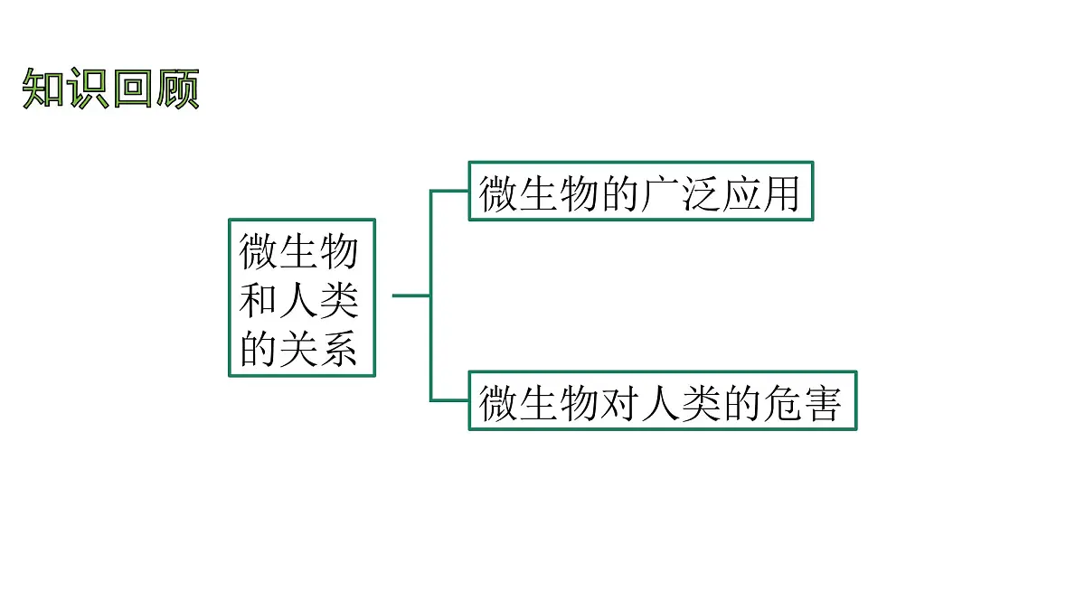 苏教版（2024）生物七年级上册 2.6.1 生物的分类 （课件）第2页