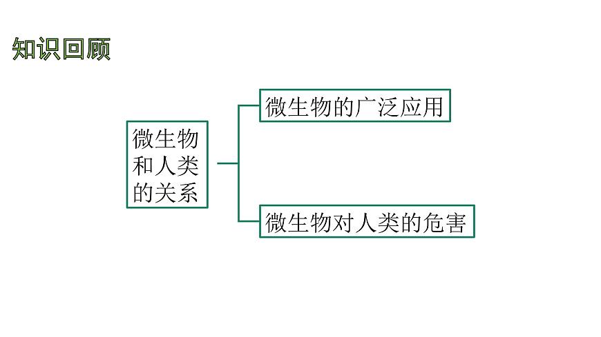 苏教版（2024）生物七年级上册 2.6.1 生物的分类 （课件）第2页