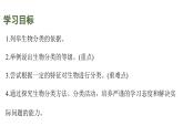 蘇教版（2024）生物七年級(jí)上冊(cè) 2.6.1 生物的分類 （課件）