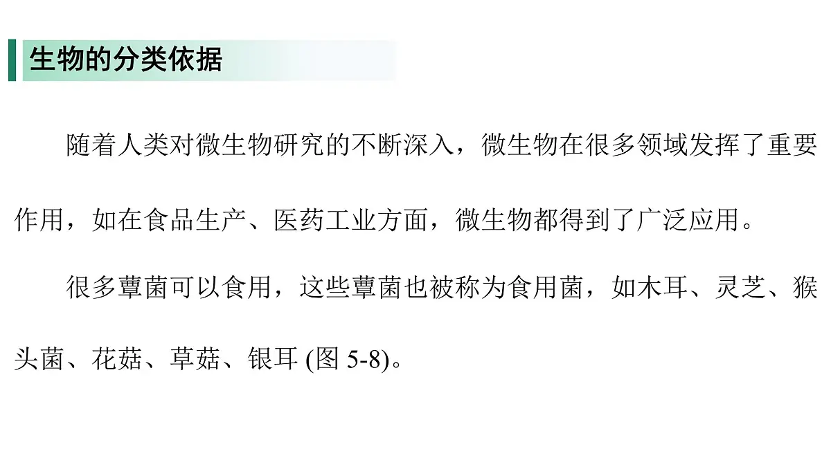 苏教版（2024）生物七年级上册 2.6.1 生物的分类 （课件）第5页