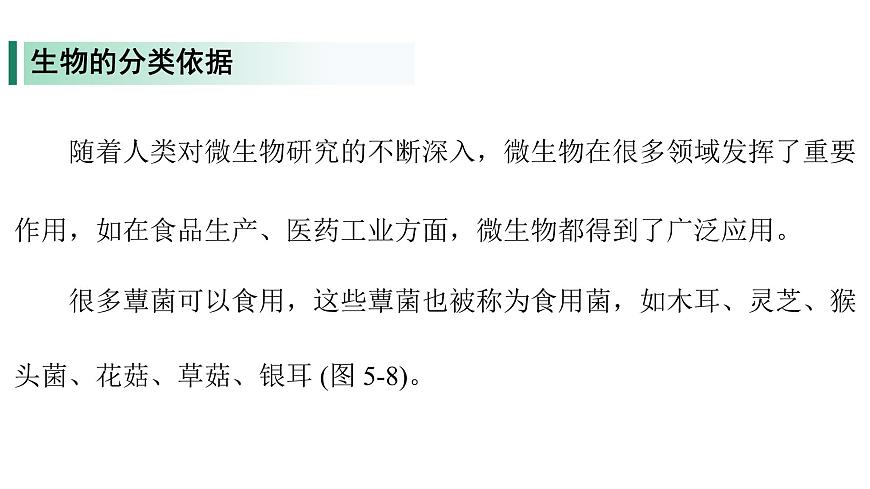 苏教版（2024）生物七年级上册 2.6.1 生物的分类 （课件）第5页