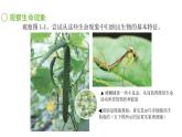 蘇科版（2024）生物七年級上冊 1.1.1 生物與生物學(xué) （課件）