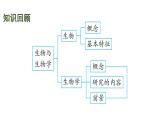蘇科版（2024）生物七年級上冊 1.1.2 生物學(xué)研究的基本方法 （課件）