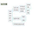 蘇科版（2024）生物七年級上冊 2.2.1 生物生存依賴一定的環(huán)境 （課件）