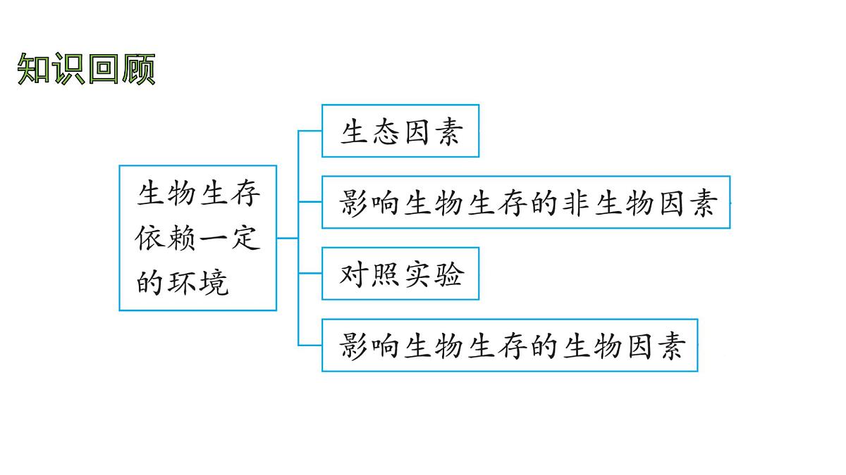 苏科版（2024）生物七年级上册 2.2.2 生物对环境的适应和影响 （课件）第2页