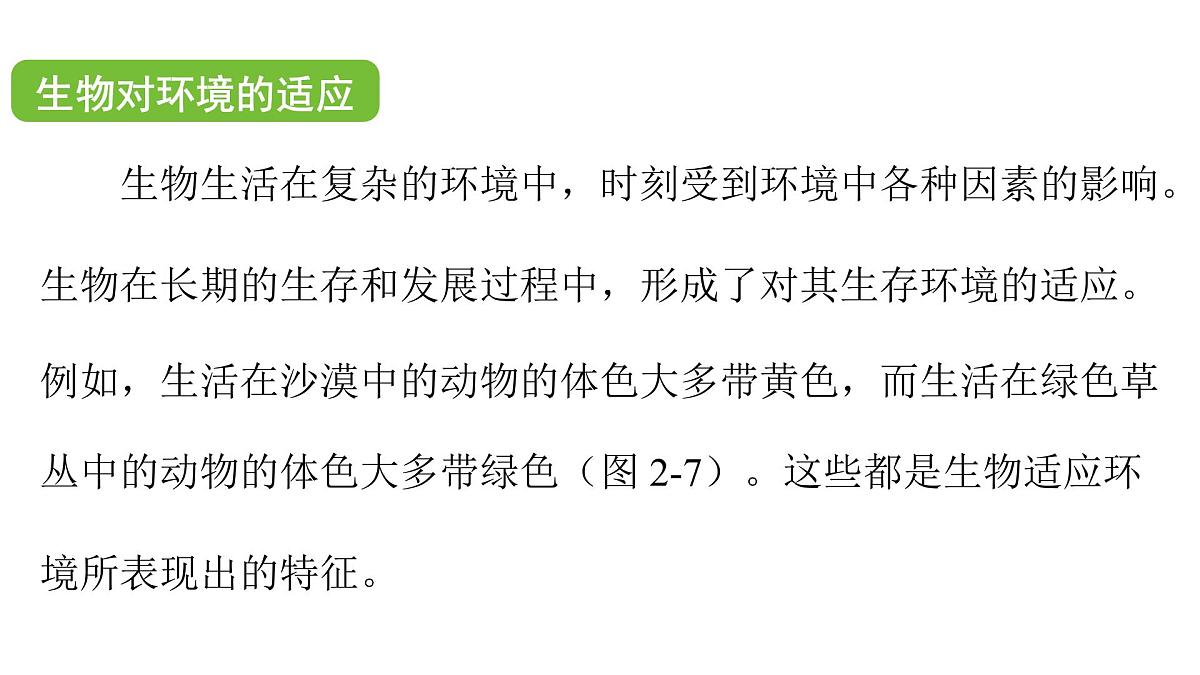 苏科版（2024）生物七年级上册 2.2.2 生物对环境的适应和影响 （课件）第5页