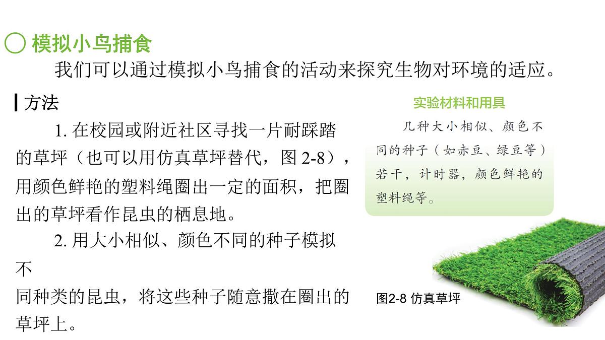 苏科版（2024）生物七年级上册 2.2.2 生物对环境的适应和影响 （课件）第7页