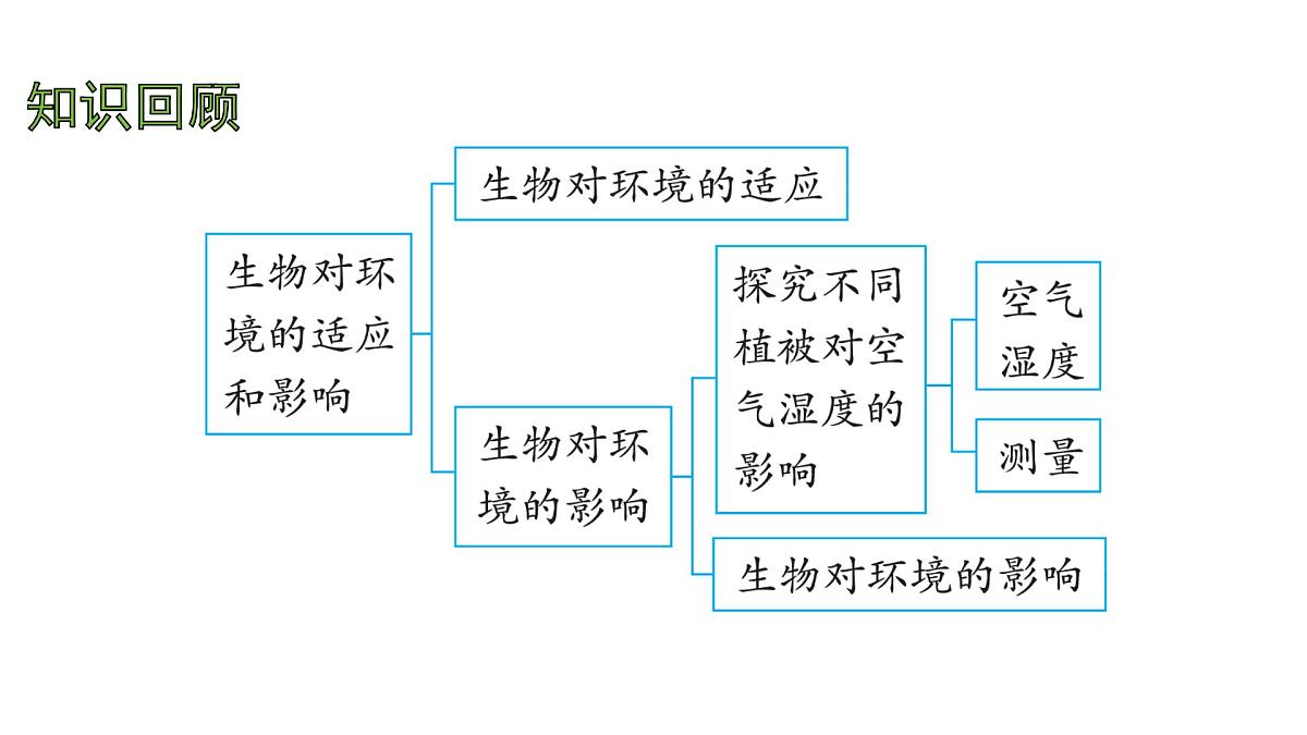 苏科版（2024）生物七年级上册 2.3.1 多种多样的生态系统 （课件）第2页