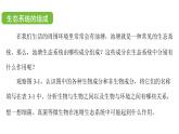 蘇科版（2024）生物七年級上冊 2.3.1 多種多樣的生態(tài)系統(tǒng) （課件）