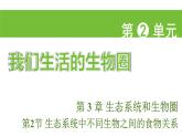 蘇科版（2024）生物七年級上冊 2.3.2 生態(tài)系統(tǒng)中不同生物之間的食物關(guān)系 （課件）
