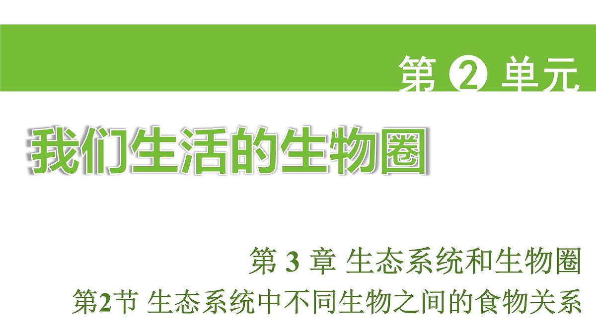 苏科版（2024）生物七年级上册 2.3.2 生态系统中不同生物之间的食物关系 （课件）第1页