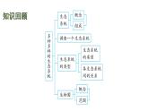 蘇科版（2024）生物七年級上冊 2.3.2 生態(tài)系統(tǒng)中不同生物之間的食物關(guān)系 （課件）