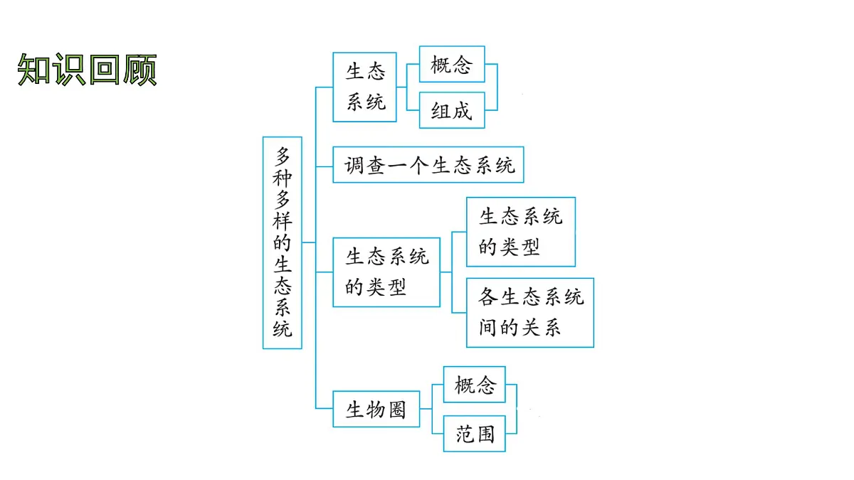 苏科版（2024）生物七年级上册 2.3.2 生态系统中不同生物之间的食物关系 （课件）第2页