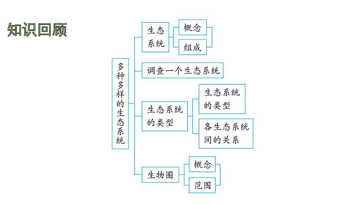 苏科版（2024）生物七年级上册 2.3.2 生态系统中不同生物之间的食物关系 （课件）第2页