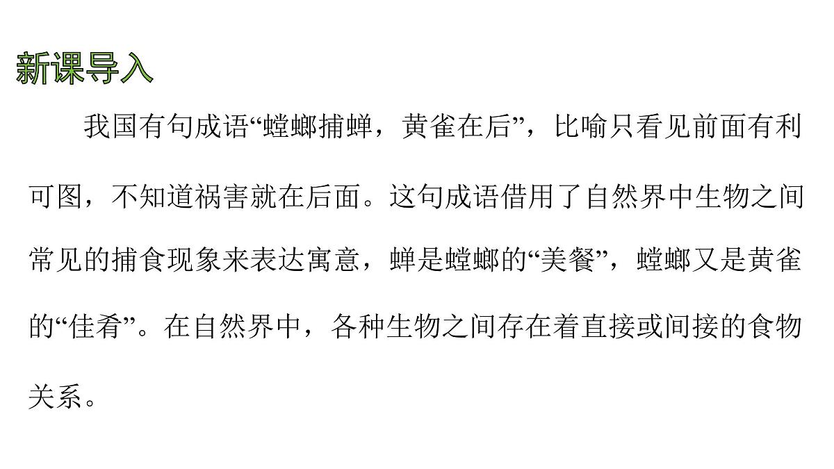 苏科版（2024）生物七年级上册 2.3.2 生态系统中不同生物之间的食物关系 （课件）第3页