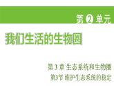 蘇科版（2024）生物七年級上冊 2.3.3 維護(hù)生態(tài)系統(tǒng)的穩(wěn)定 （課件）
