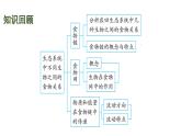 蘇科版（2024）生物七年級上冊 2.3.3 維護(hù)生態(tài)系統(tǒng)的穩(wěn)定 （課件）