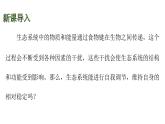 蘇科版（2024）生物七年級上冊 2.3.3 維護(hù)生態(tài)系統(tǒng)的穩(wěn)定 （課件）