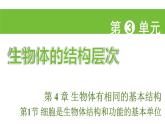 蘇科版（2024）生物七年級上冊 3.4.1 細(xì)胞是生物體結(jié)構(gòu)和功能的基本單位 （課件）