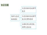 蘇科版（2024）生物七年級上冊 3.4.1 細(xì)胞是生物體結(jié)構(gòu)和功能的基本單位 （課件）
