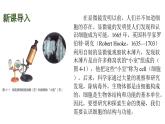 蘇科版（2024）生物七年級上冊 3.4.1 細(xì)胞是生物體結(jié)構(gòu)和功能的基本單位 （課件）
