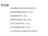 蘇科版（2024）生物七年級上冊 3.4.1 細(xì)胞是生物體結(jié)構(gòu)和功能的基本單位 （課件）