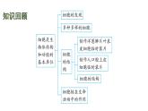 蘇科版（2024）生物七年級上冊 3.4.2 單細(xì)胞生物 （課件）