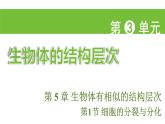 蘇科版（2024）生物七年級上冊 3.5.1 細(xì)胞的分裂與分化 （課件）