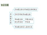 蘇科版（2024）生物七年級上冊 3.5.1 細(xì)胞的分裂與分化 （課件）
