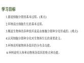 蘇科版（2024）生物七年級上冊 3.5.1 細(xì)胞的分裂與分化 （課件）