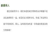 蘇科版（2024）生物七年級上冊 3.5.2 多細(xì)胞生物的結(jié)構(gòu)層次 （課件）