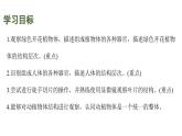 蘇科版（2024）生物七年級上冊 3.5.2 多細(xì)胞生物的結(jié)構(gòu)層次 （課件）