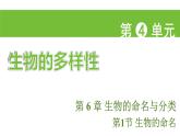 蘇科版（2024）生物七年級上冊 3.6.1 生物的命名 （課件）