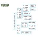 蘇科版（2024）生物七年級上冊 3.6.1 生物的命名 （課件）
