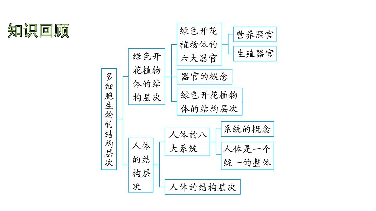 苏科版（2024）生物七年级上册 3.6.1 生物的命名 （课件）第2页