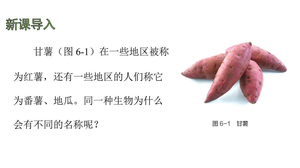 苏科版（2024）生物七年级上册 3.6.1 生物的命名 （课件）第3页