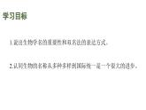 蘇科版（2024）生物七年級上冊 3.6.1 生物的命名 （課件）